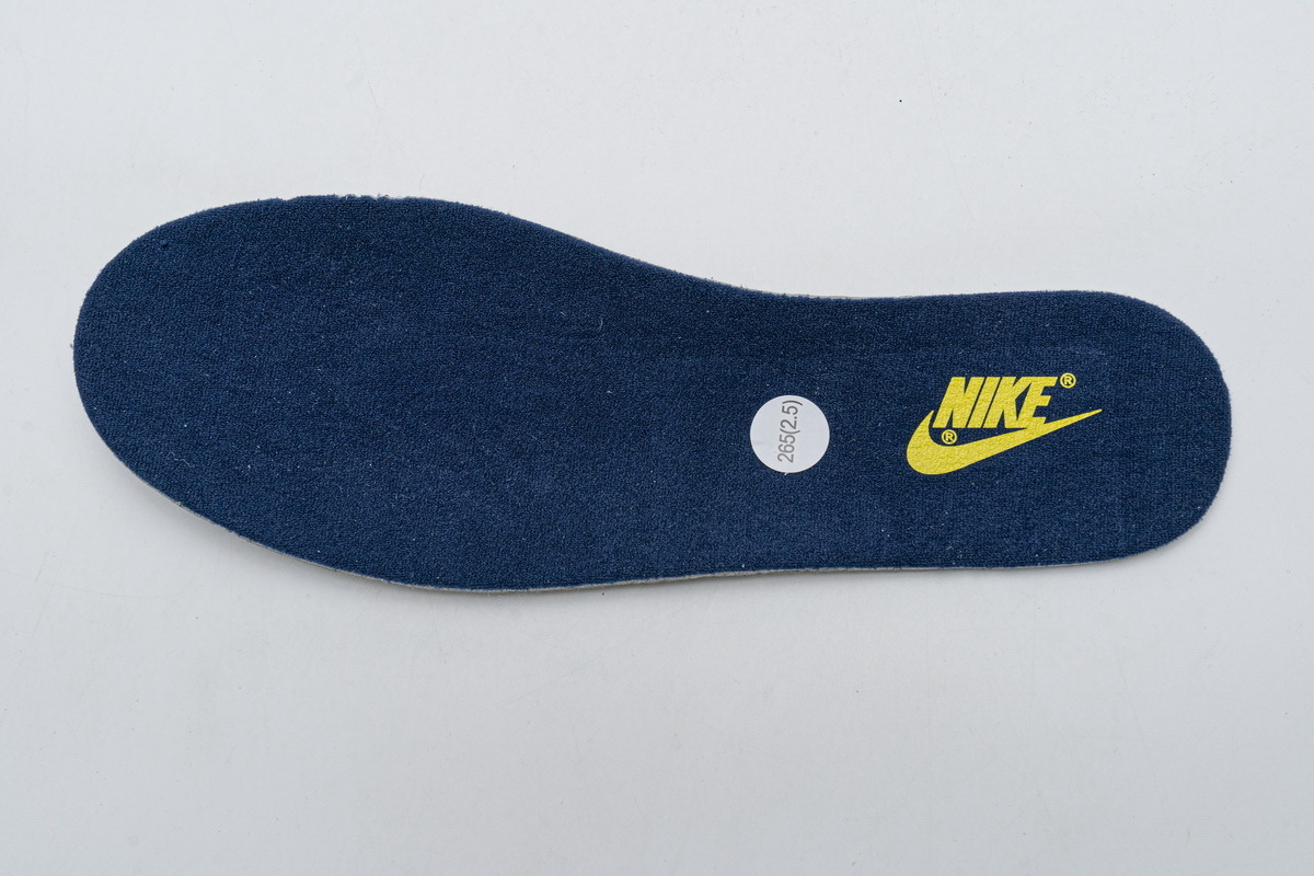     Nike SB Dunk High Michigan 