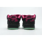 Pkgod Nike SB Dunk Low Premier Northern Lights