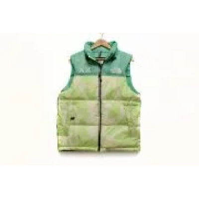 Zafa Wear The North Face Vest 01