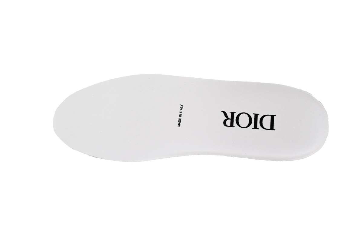 Dior B23 Oblique Low Top Sneakers