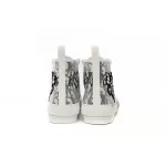 Dior B23 Oblique Low Top Sneakers