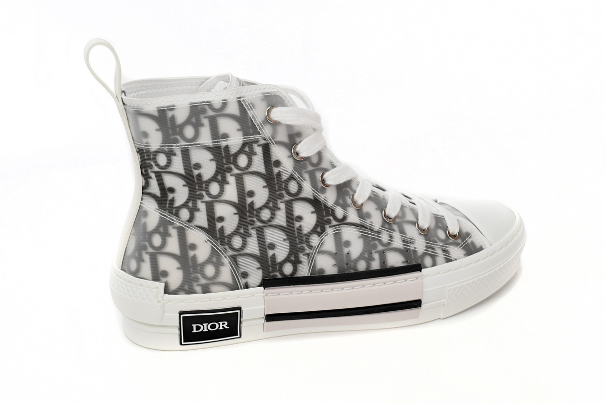 Dior B23 High Top Logo Oblique