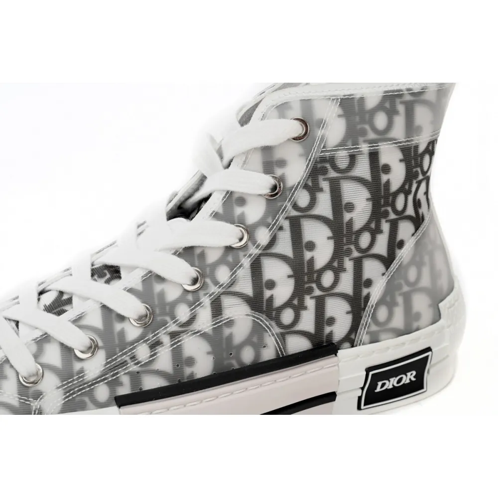 Dior B23 High Top Logo Oblique