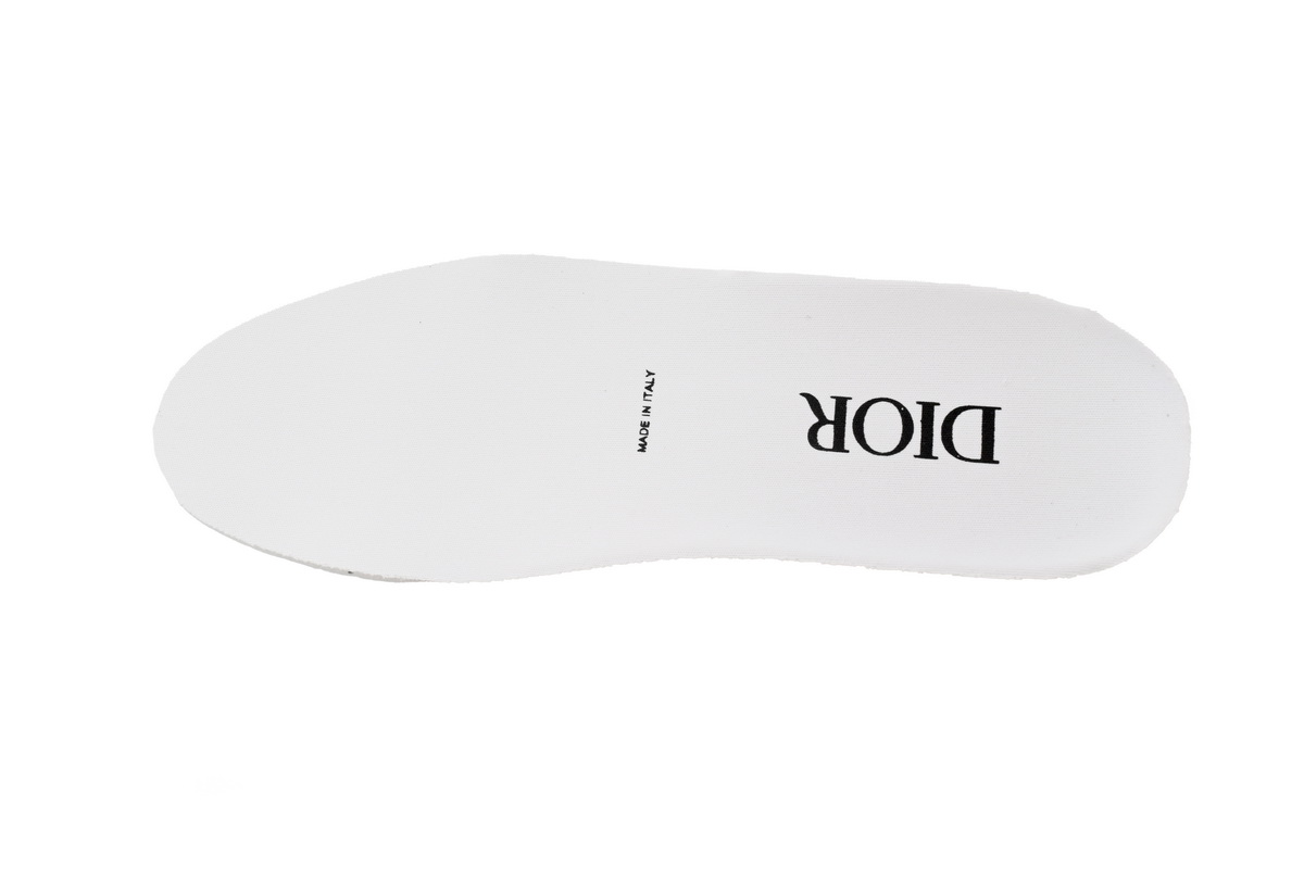 Dior B23 High Top Blue Oblique