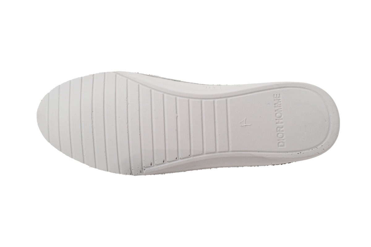 Dior B23 High Top Canvas Oblique Black