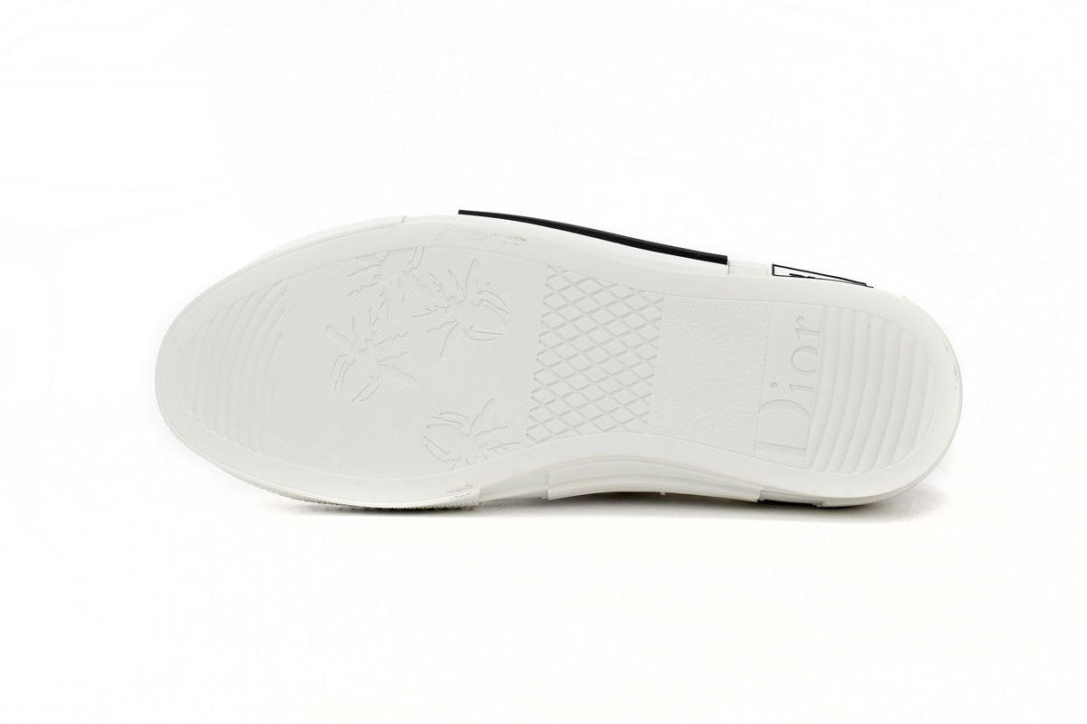 Dior B23 High Top Oblique