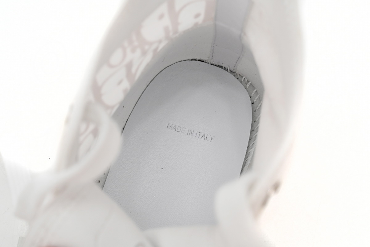 Dior B23 High Top Oblique