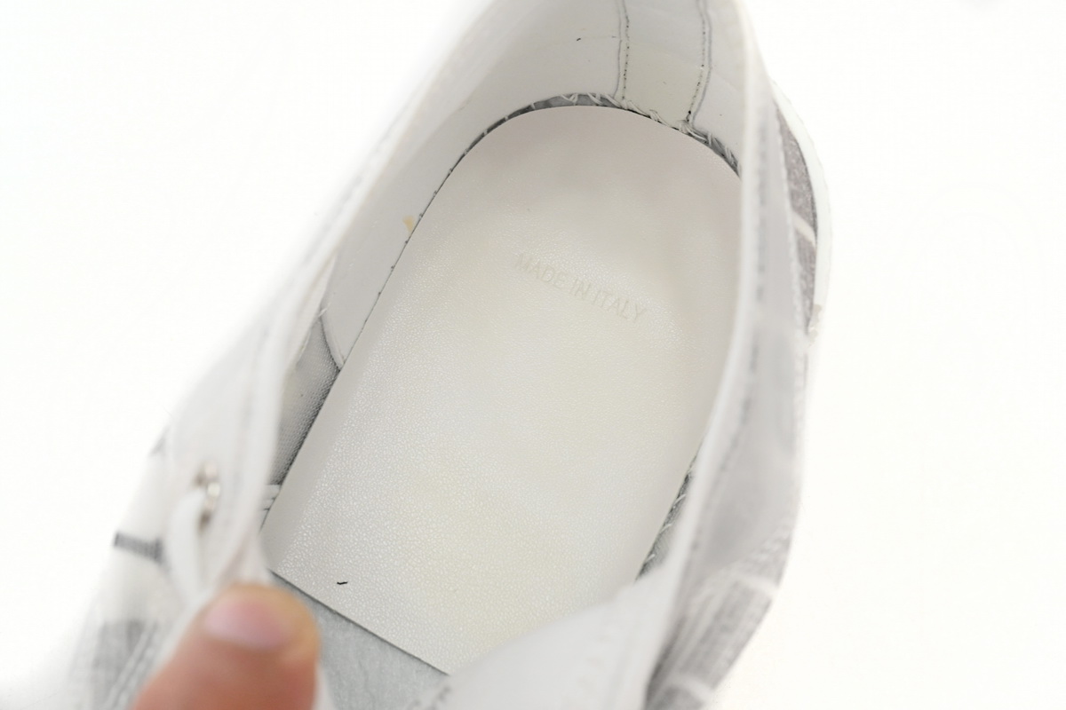 Dior B23 Low Top Daniel Asham Newspaper