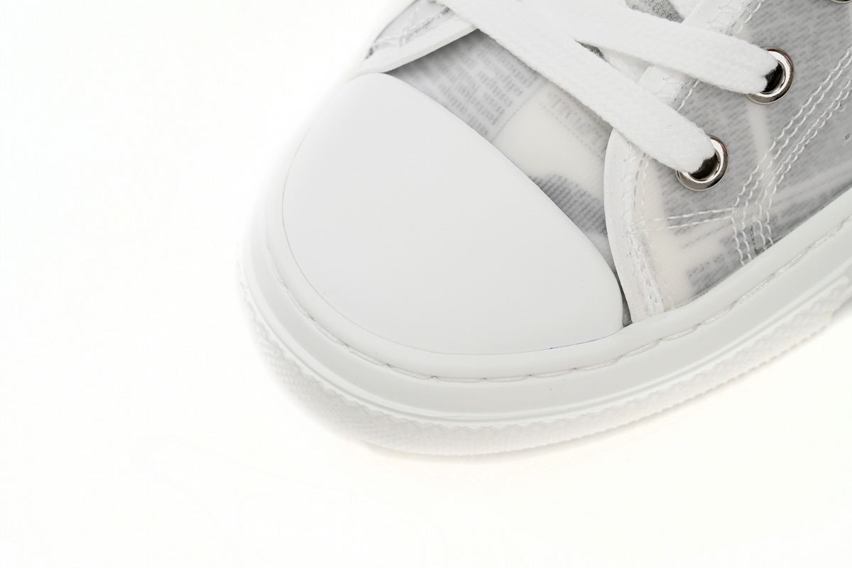 Dior B23 Low Top Daniel Asham Newspaper