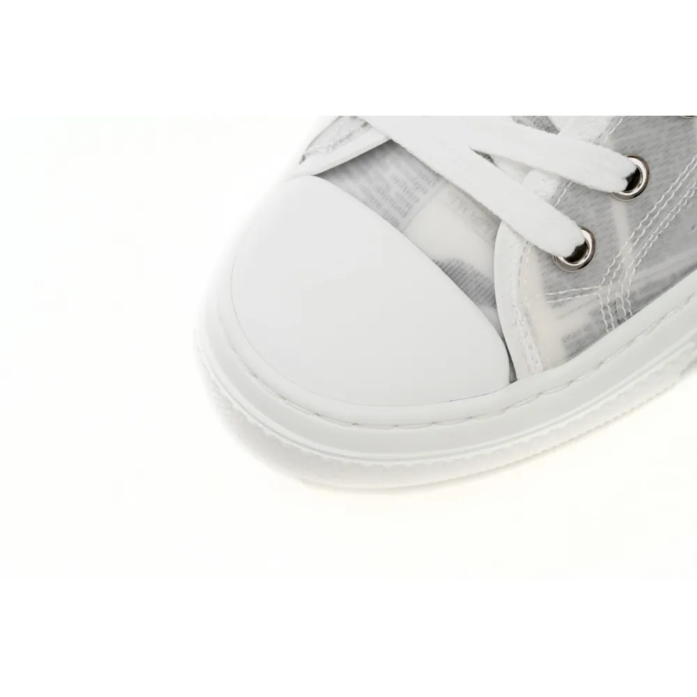 Dior B23 Low Top Daniel Asham Newspaper