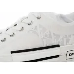 Zafa Wear Dior B23 Low Top Oblique