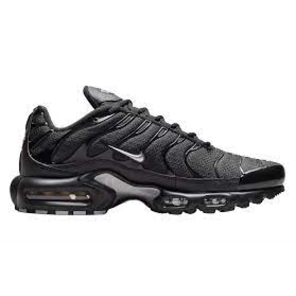 Nike Air Max Plus Mini Swoosh Black Silver DX8971-001