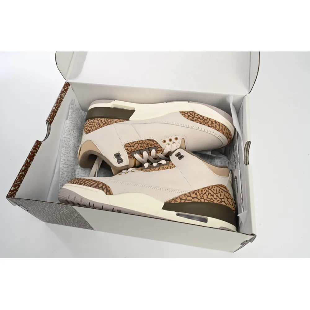  Pkgod Air Jordan 3 Retro Palomino