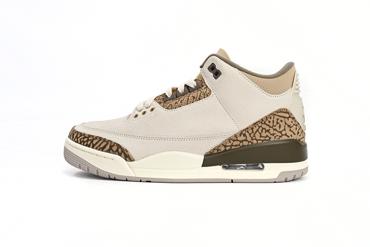      Air Jordan 3 Retro Palomino CT8532-102