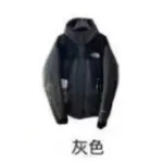 Top Quality The North Face 1990 Down Jacket   