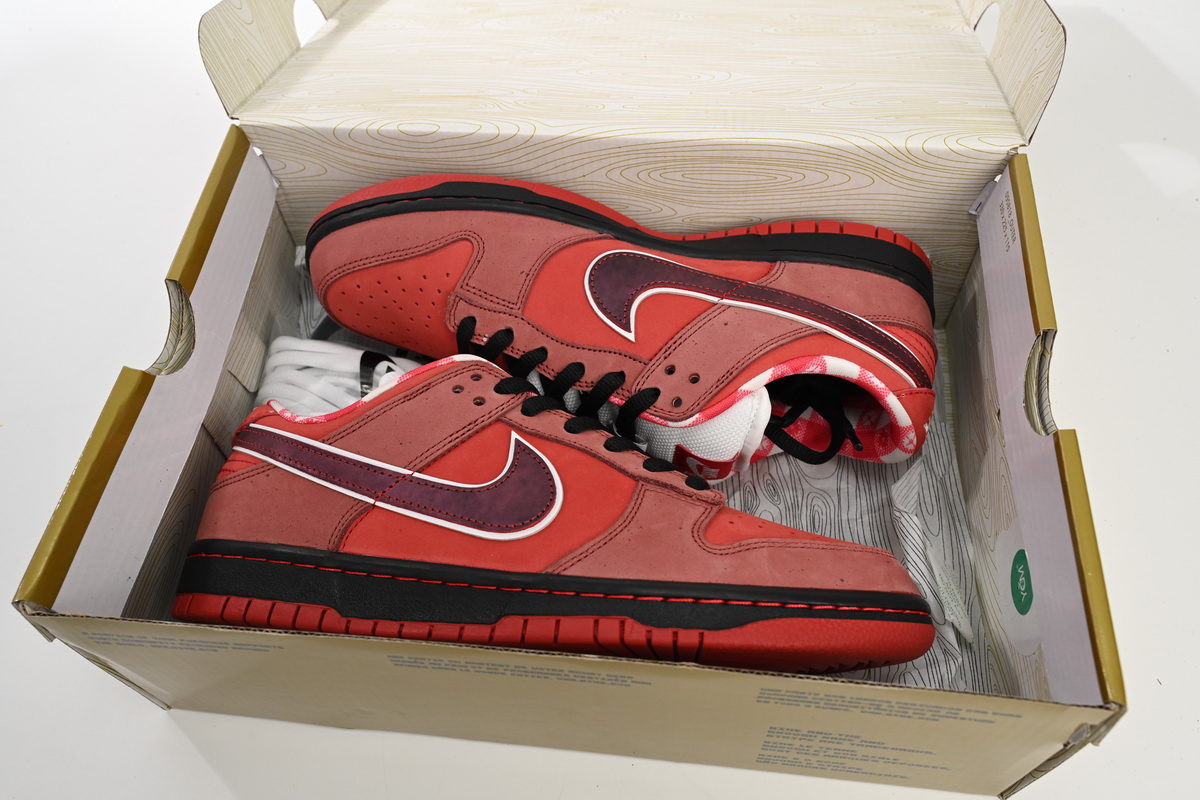    Pkgod Nike Dunk Low Concepts Red Lobster