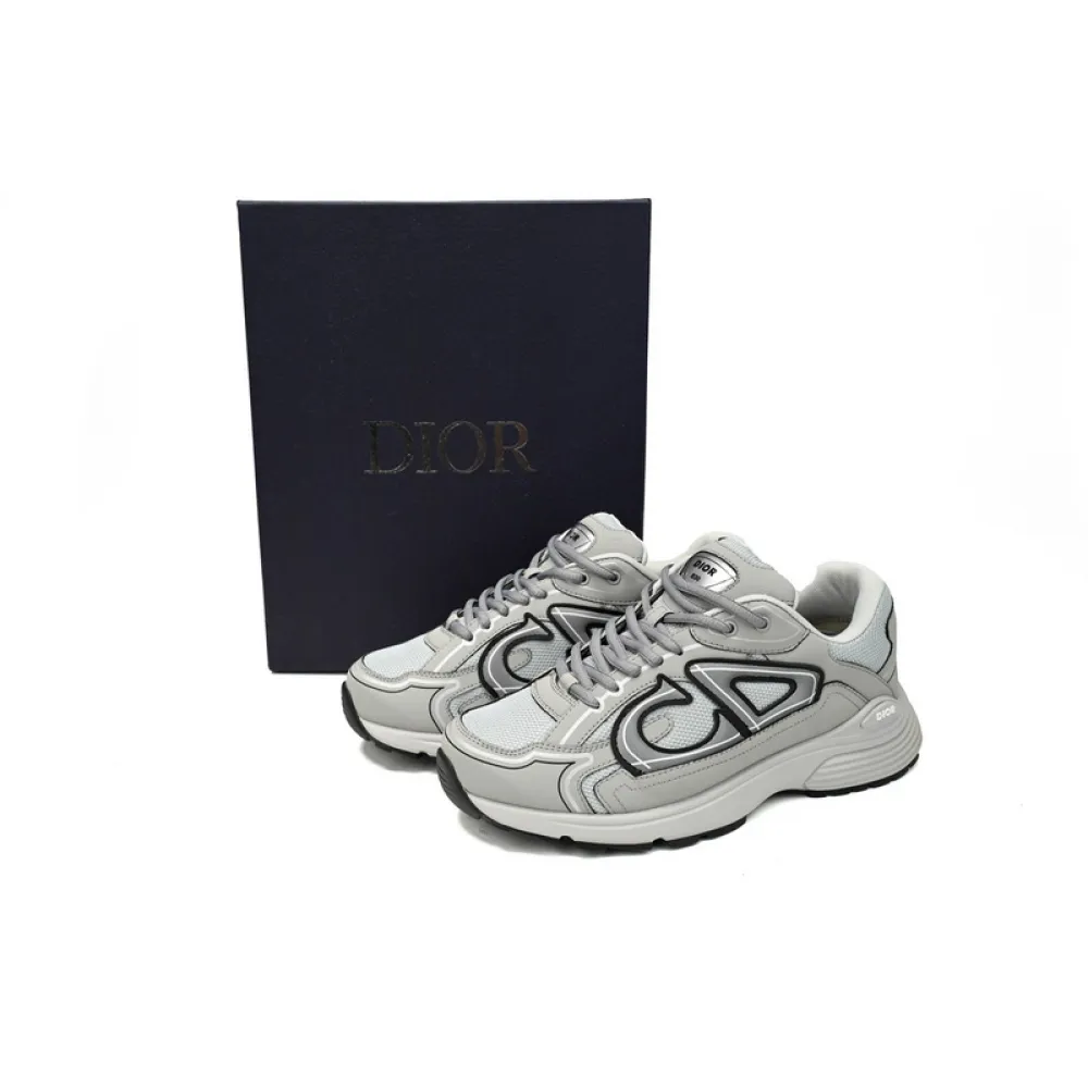 Dior B30 Grey
