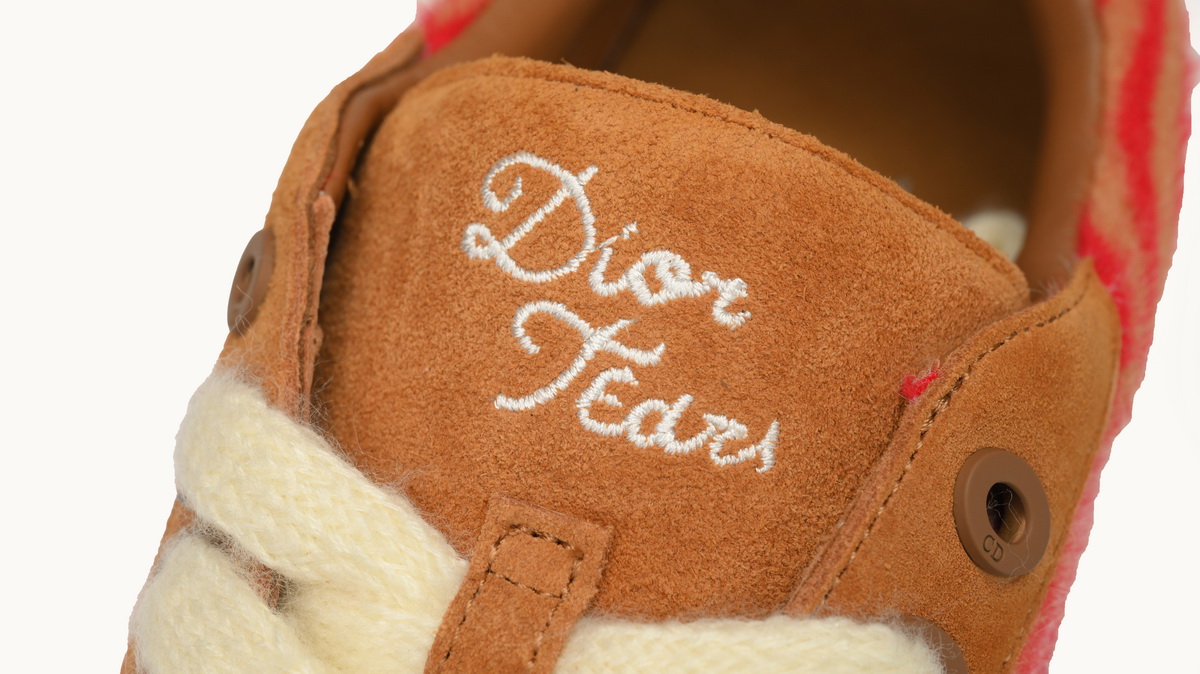 Dior X Denim Tears B33 Sneakers Release Brown Red Stripes