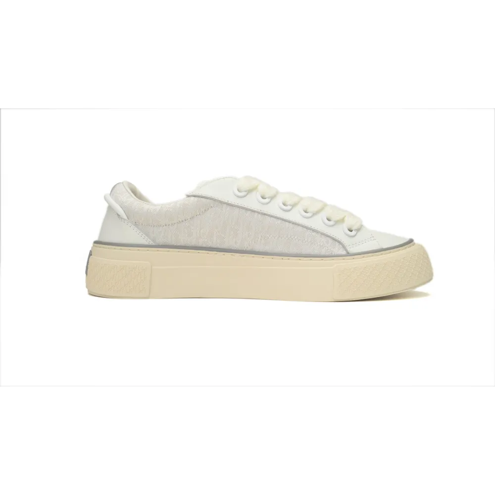 Zafa Wear Dior X Denim Tears B33 Sneakers Release White