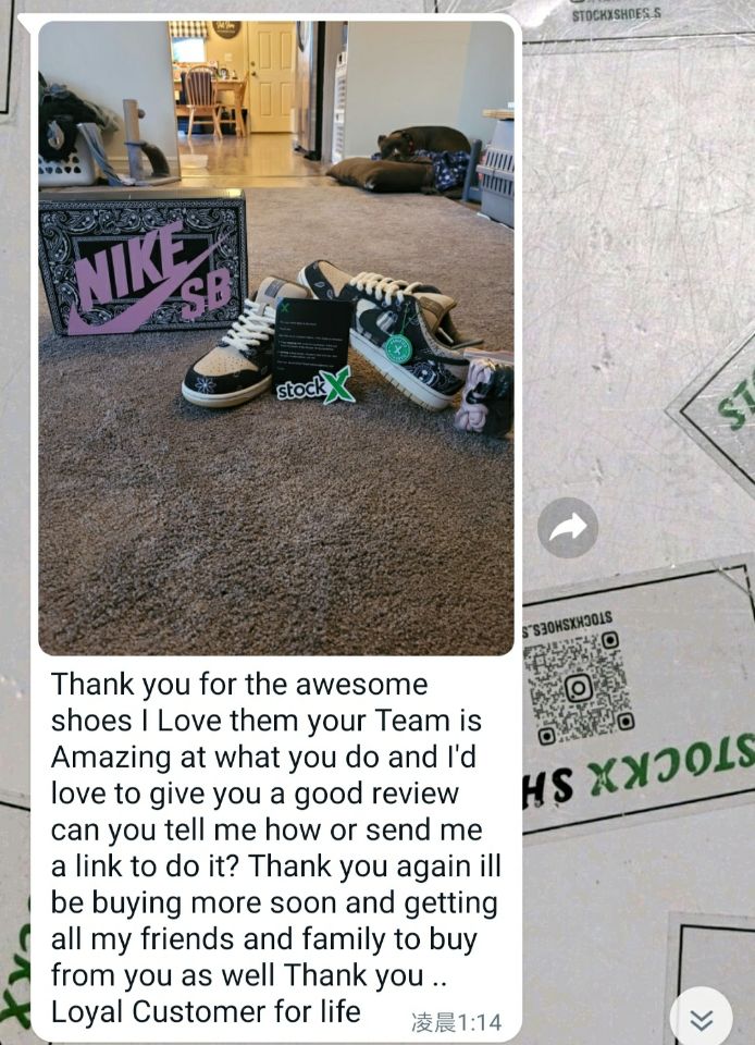  Pkgod Nike SB Dunk Low Travis Scott (Special Box)