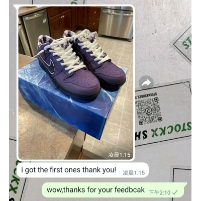 Pkgod Nike SB Dunk Low Pro OG QS Purple Lobster（Special Box) 02
