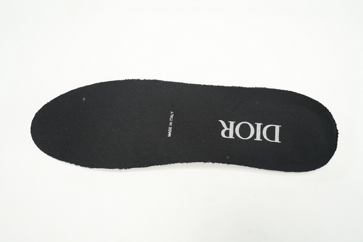  Dior B22 Triple Grey