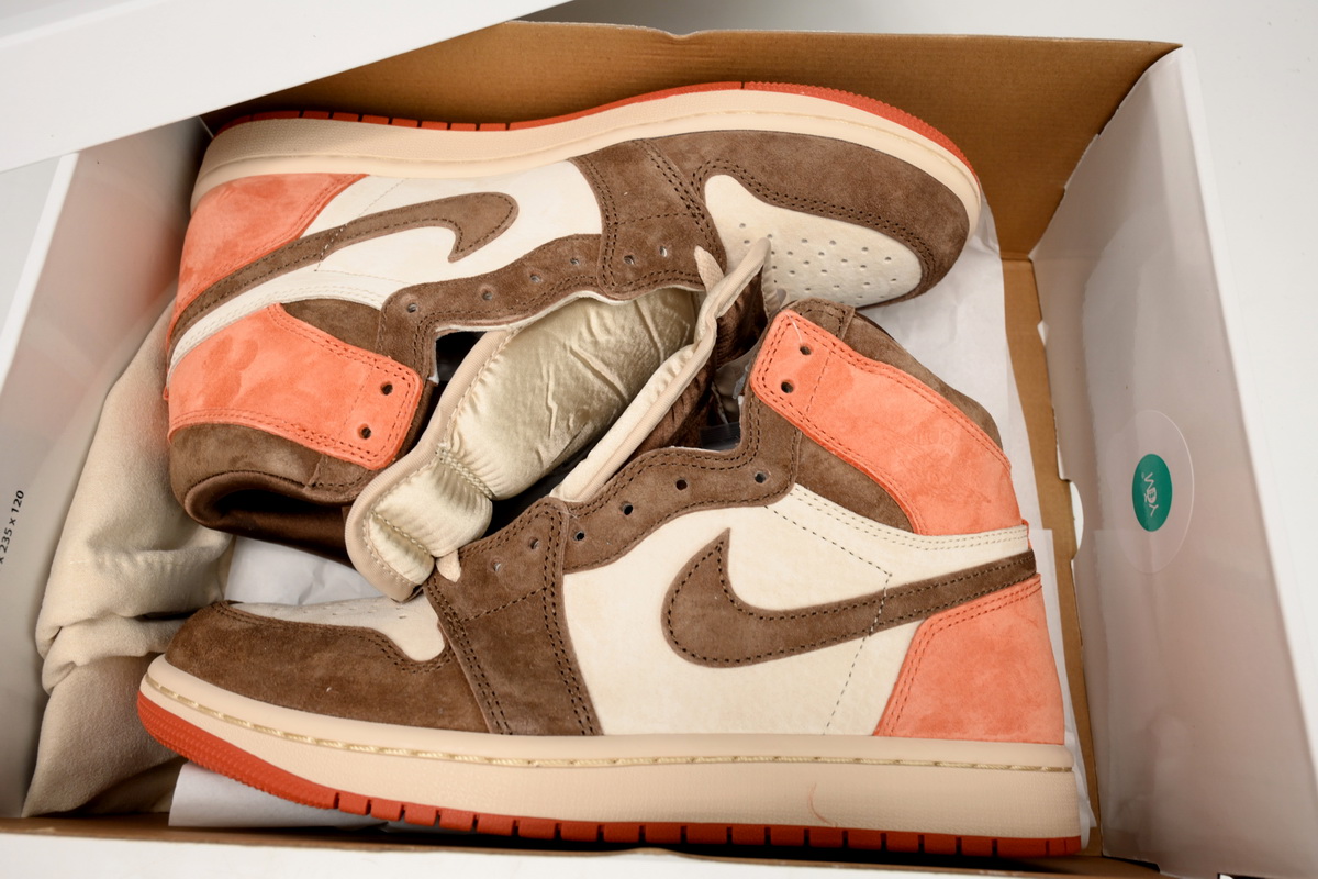Air Jordan 1 Retro High OG SP Dusted Clay FQ2941-200