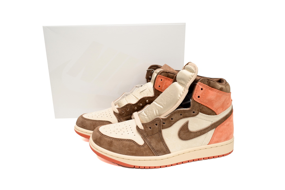 Air Jordan 1 Retro High OG SP Dusted Clay FQ2941-200