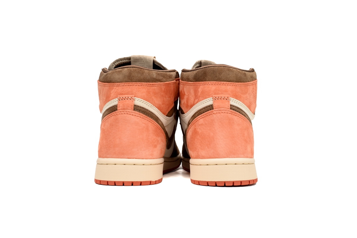 Air Jordan 1 Retro High OG SP Dusted Clay FQ2941-200