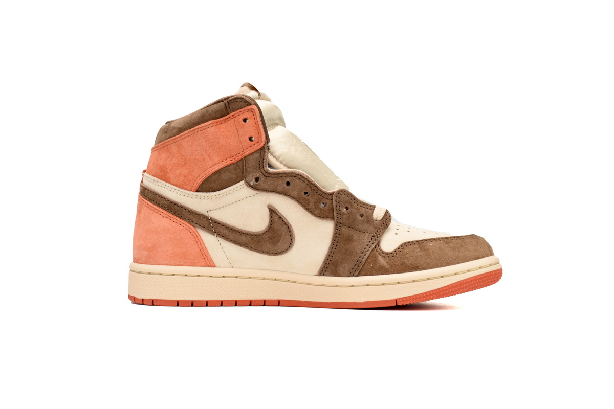 Air Jordan 1 Retro High OG SP Dusted Clay FQ2941-200