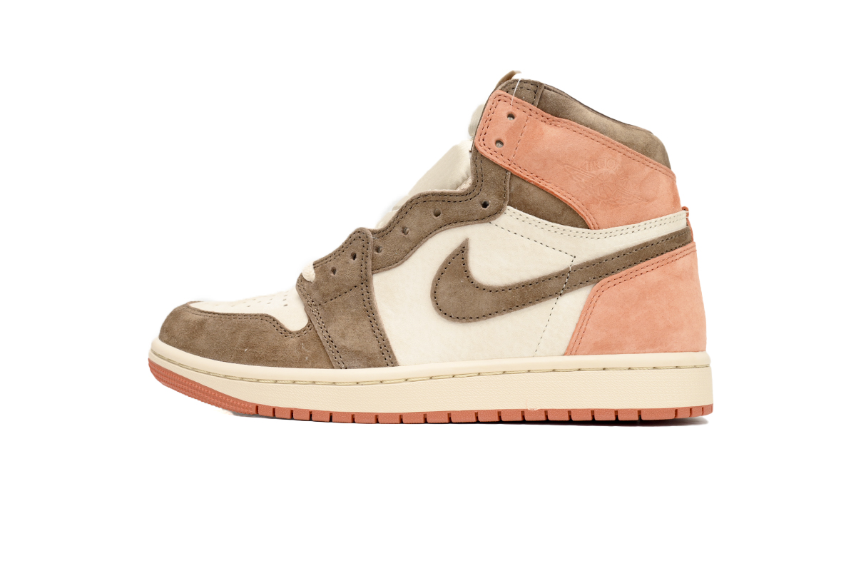 Air Jordan 1 Retro High OG SP Dusted Clay FQ2941-200