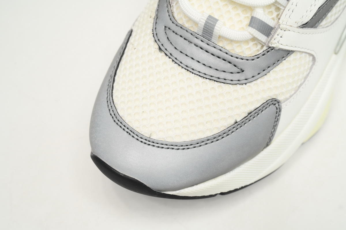 Dior B22 White Gray