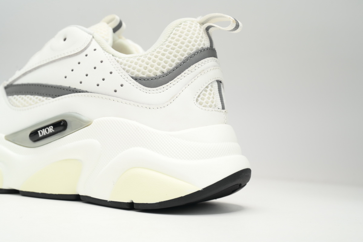 Dior B22 White Gray