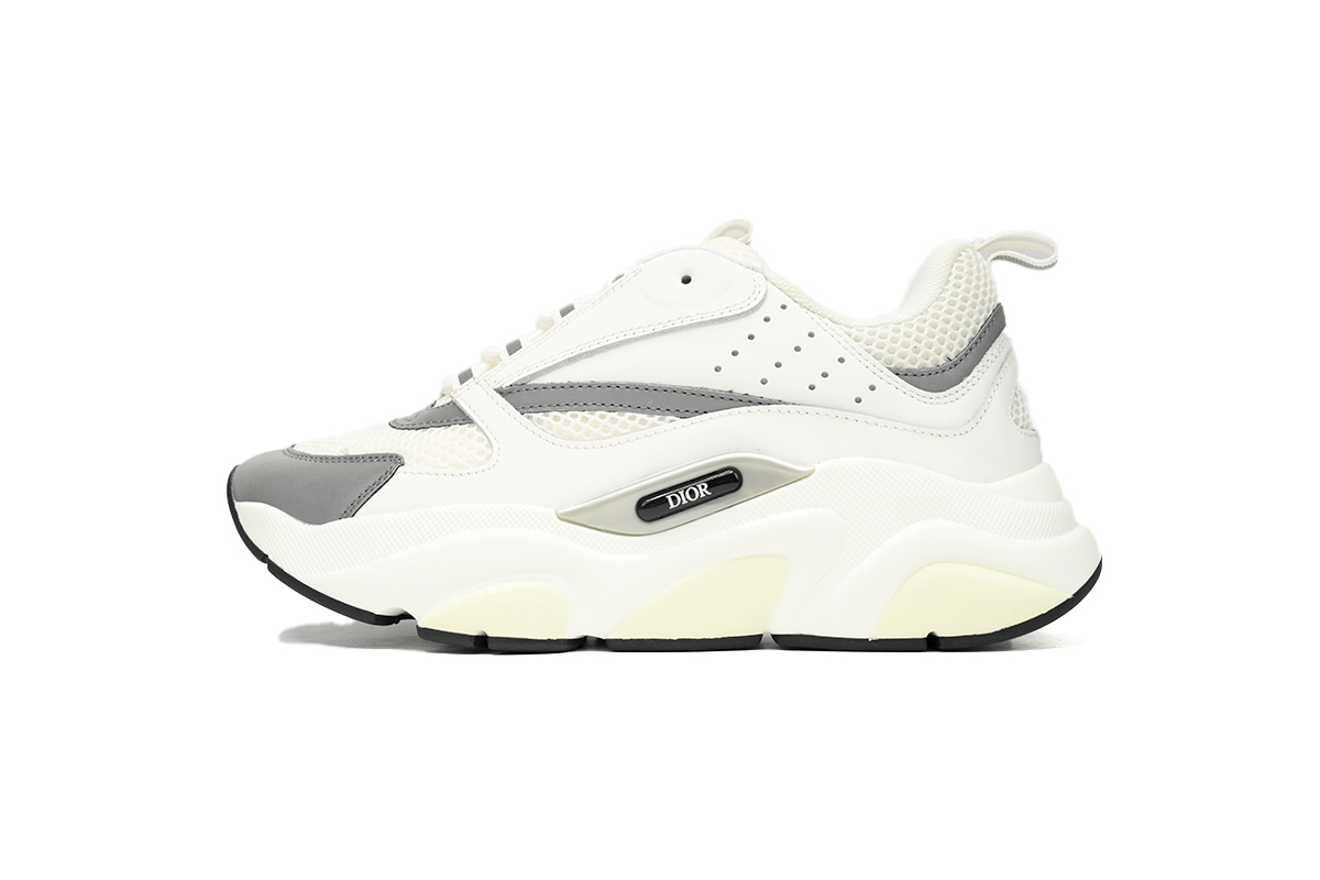 Dior B22 White Gray