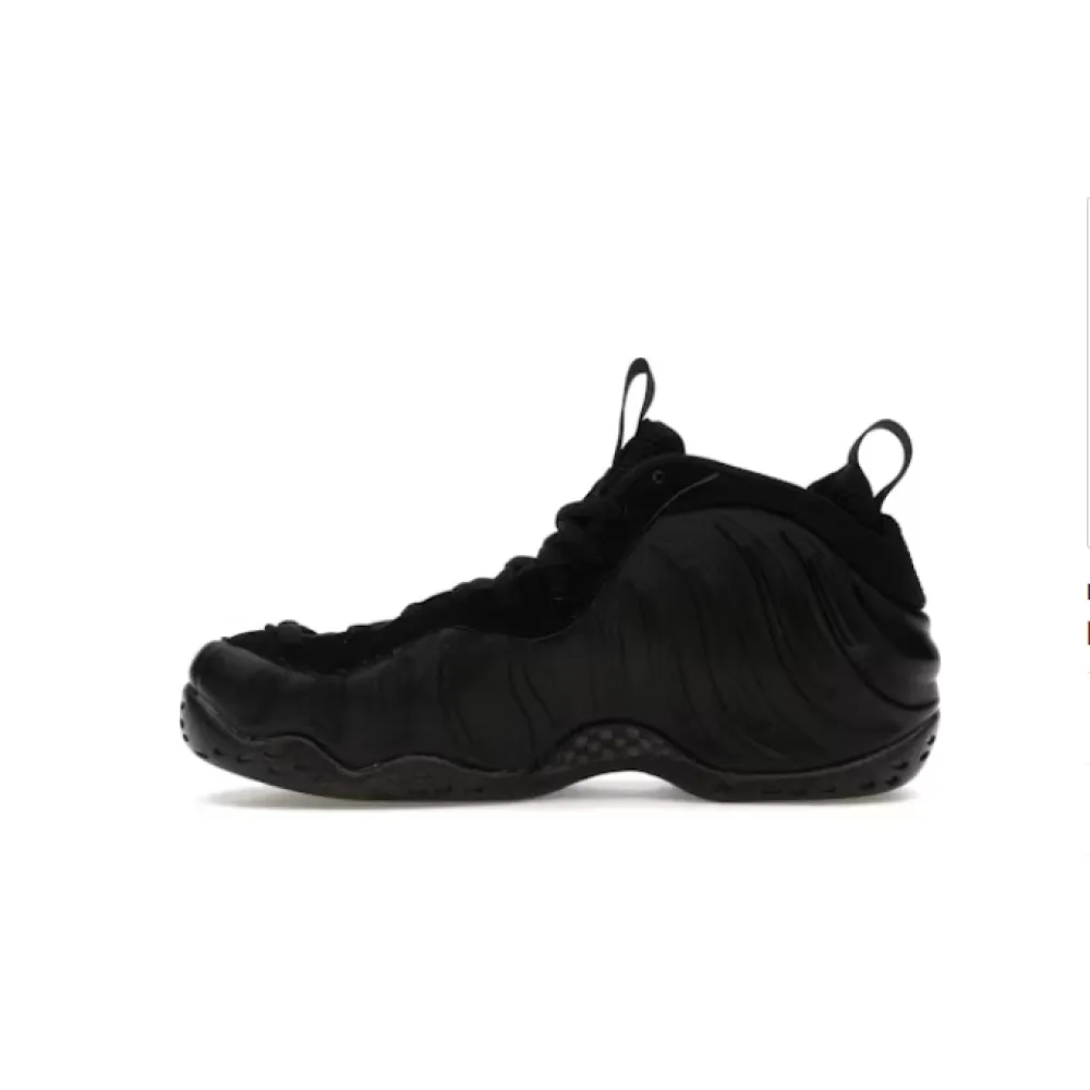 Pkgod Nike Air Foamposite One Anthracite FD5855-001