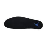 Pkgod Air Jordan 12  Blueberry CT8013-140