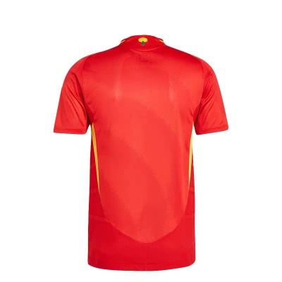    Spain 24/25 Player Home Euro Patch Jersey 02