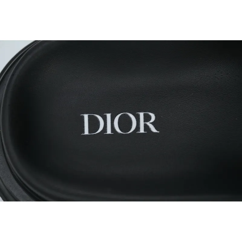 Dior Aqua Brown