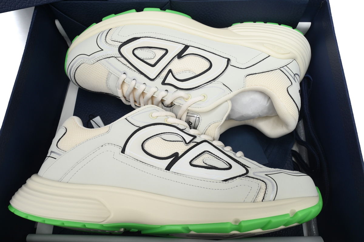 Dior B30 Reflective CD30 Cream Green 3SN279ZRD-H166 