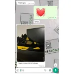 Pkgod Jordan 4 Retro Thunder