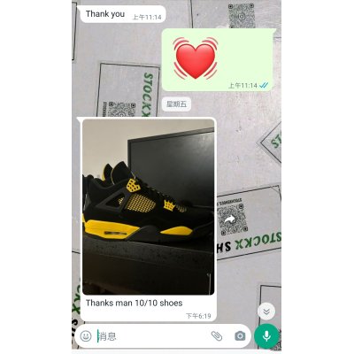 Pkgod Jordan 4 Retro Thunder 02