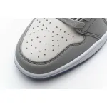 Pkgod Air  Jordan 1 Retro Low Dior CN8608 002