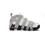 Nike Air More Uptempo Rosewood Wolf Grey DV1137-100