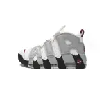 Nike Air More Uptempo Rosewood Wolf Grey DV1137-100
