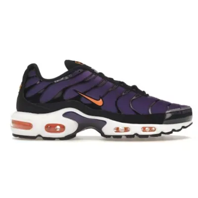 Pkgod Nike Air Max Plus Voltage Purple DX0755-500 (souvenir edition) 02