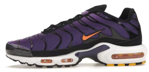     Nike Air Max Plus Voltage Purple DX0755-500 (souvenir edition)