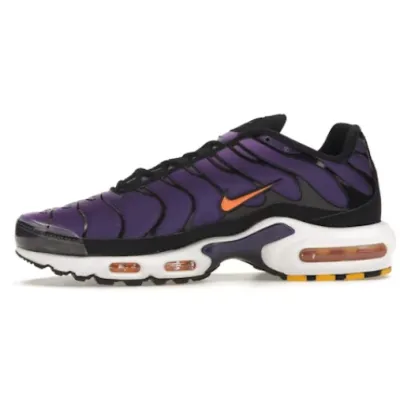 Pkgod Nike Air Max Plus Voltage Purple DX0755-500 (souvenir edition) 01