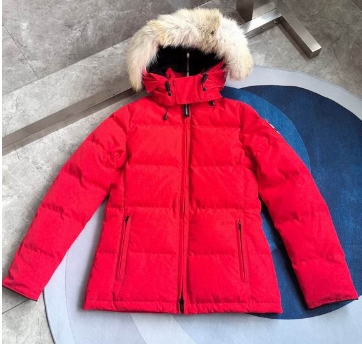 Top Quality Canada Goose Jacket Red 2137764 