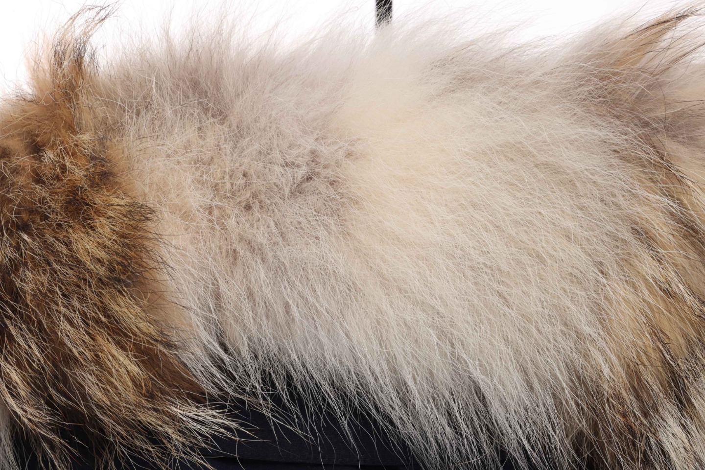 Top Quality Big Goose Expedition Feather Collar Down Coat Black