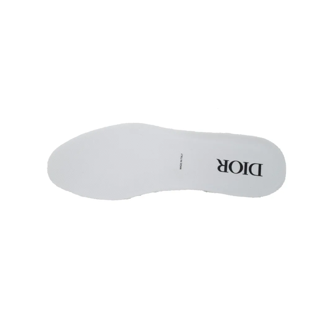Dior B22 Silver Black